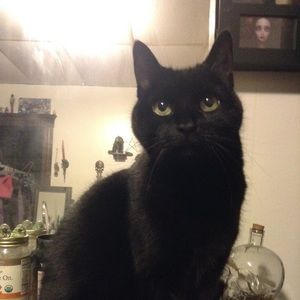 Meet your Posher, Heather